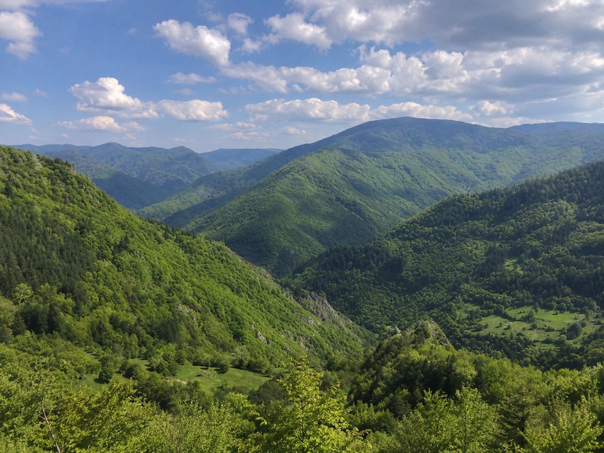 A green valley